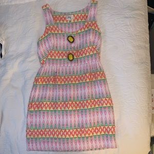 EUC Milly Cotton Embroidered Dress Lined Size 6